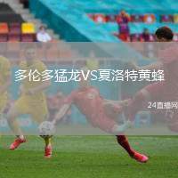 多伦多猛龙VS夏洛特黄蜂